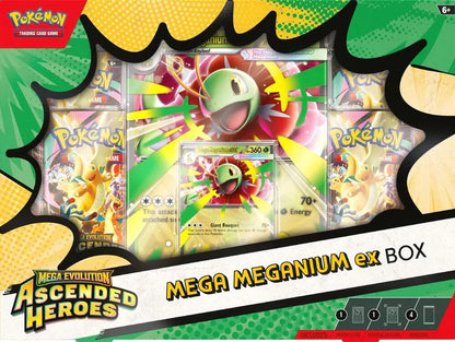 Pokémon TCG: Mega Evolution 2.5: Ascended Heroes: Mega Meganium/Emboar/Feraligatr ex Box