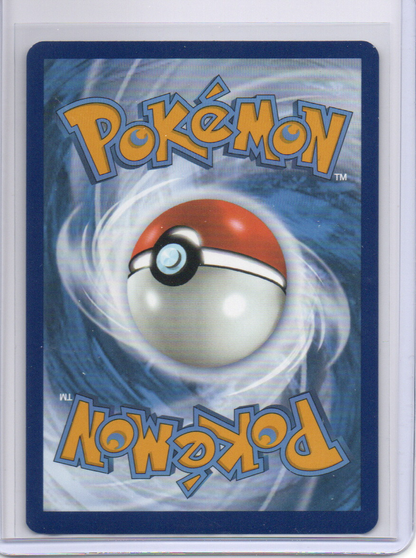 Squirtle - 148/142 - SV07: Stellar Crown (SCR)